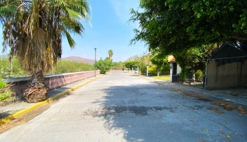 PASEOS DE LA SATISFACCION I   46 2.5.jpg